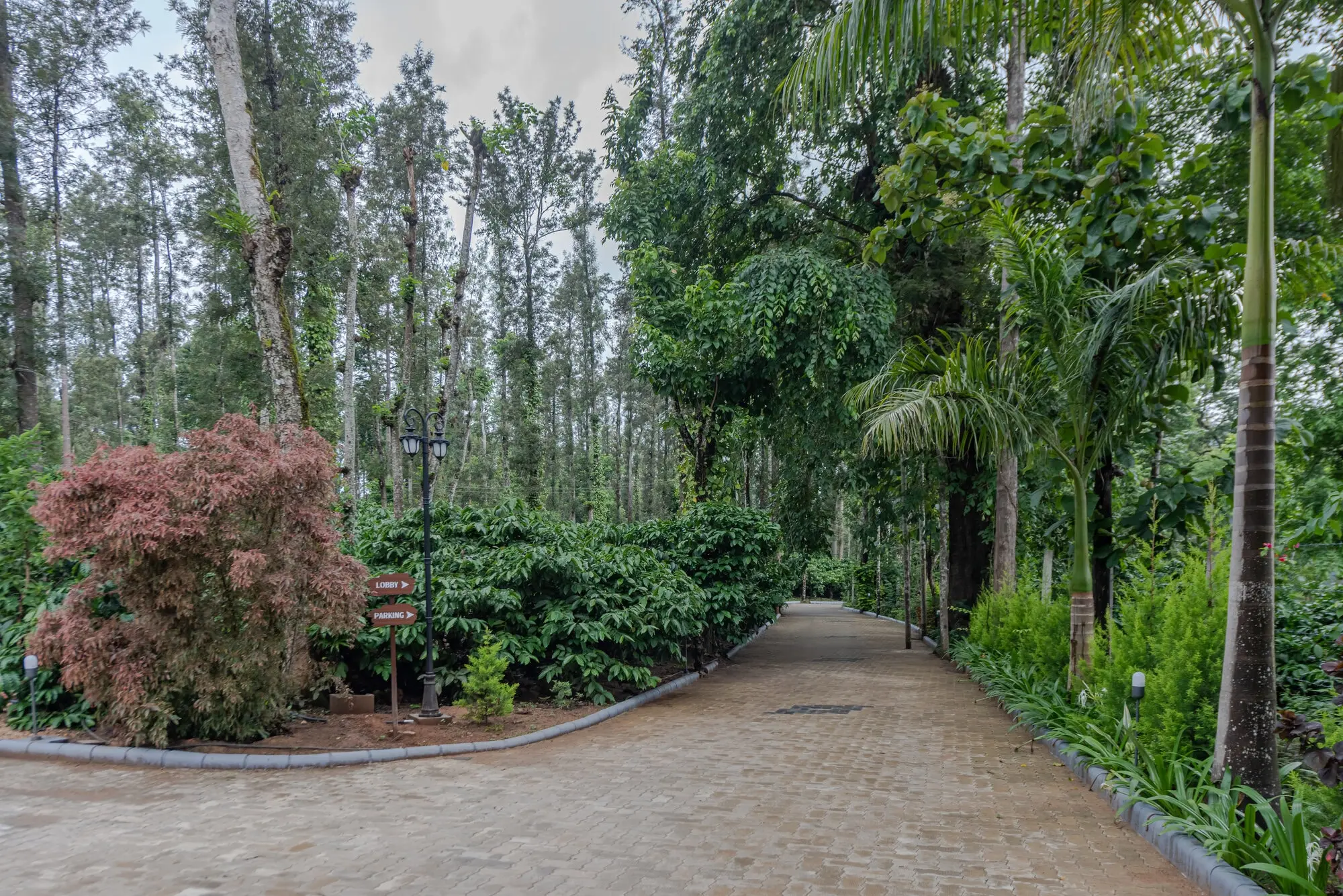 Shanthi kunnj Plantation Tour in chikmagalur