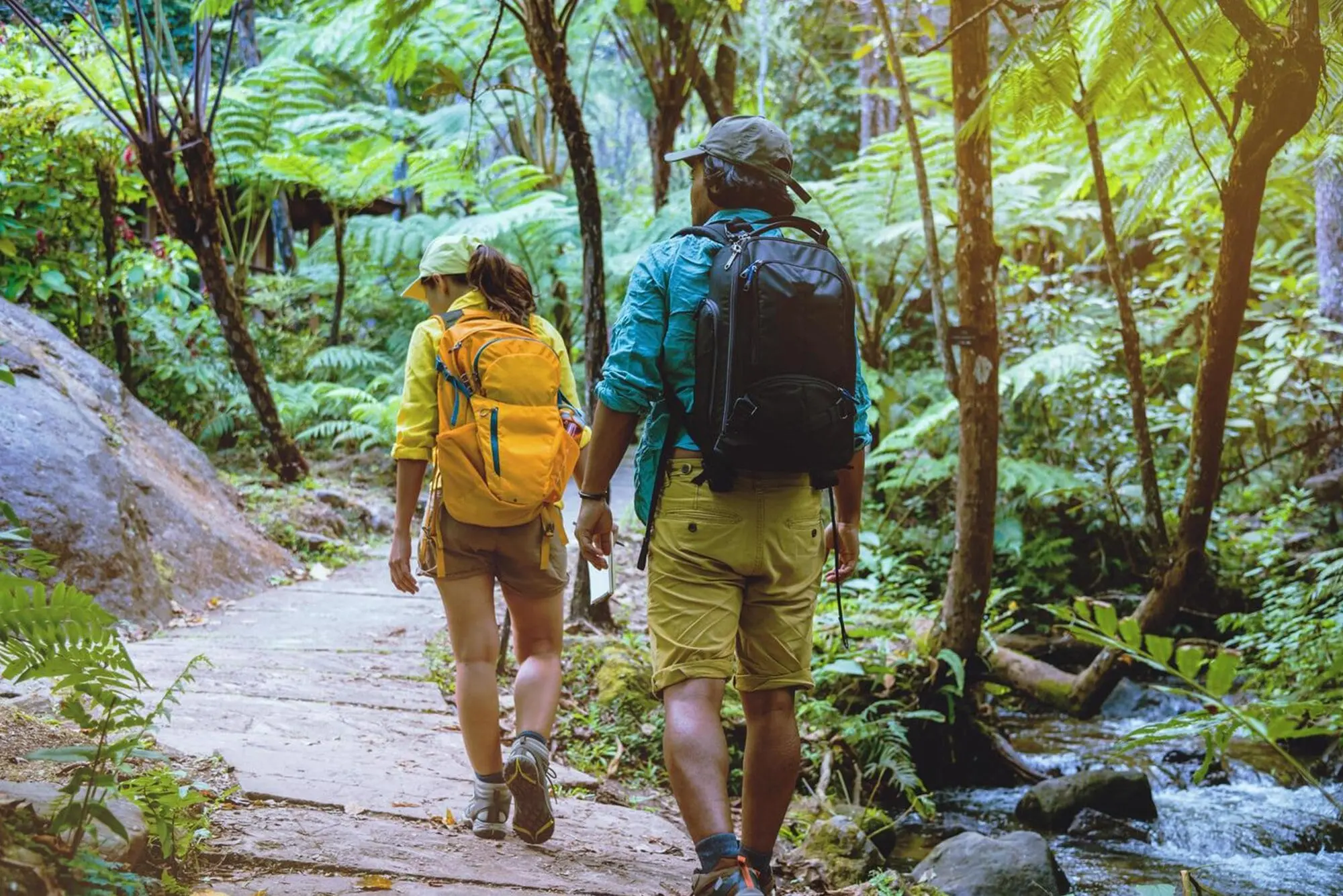 Shanthi Kunnj Nature Walk in chikmagalur
